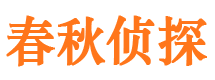 桃城市调查公司